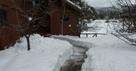 Big Bear Winter Walk